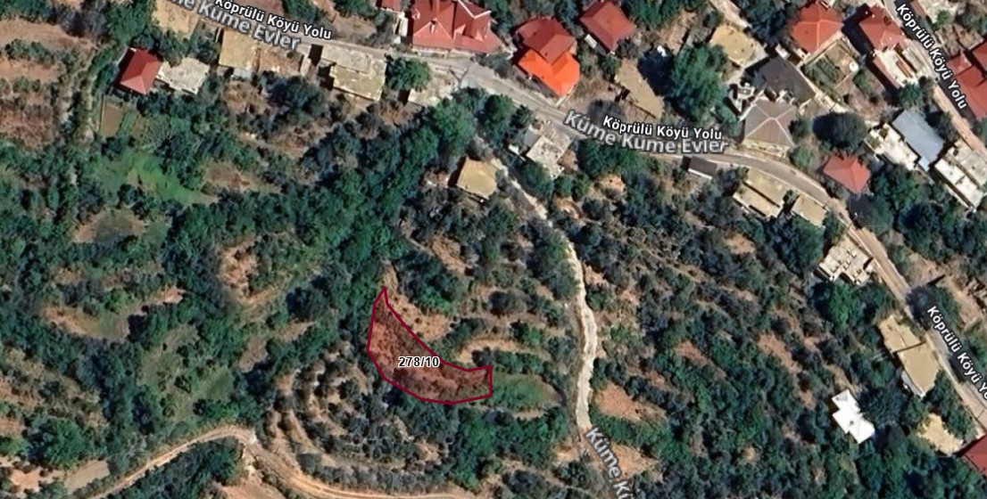 Fotoğraf